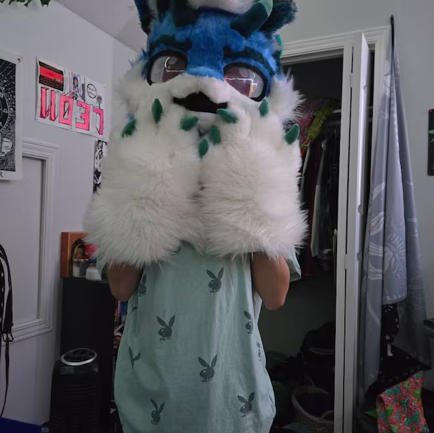 Aspen's fursuit