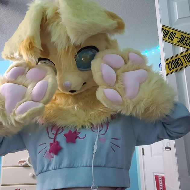 Toby's fursuit