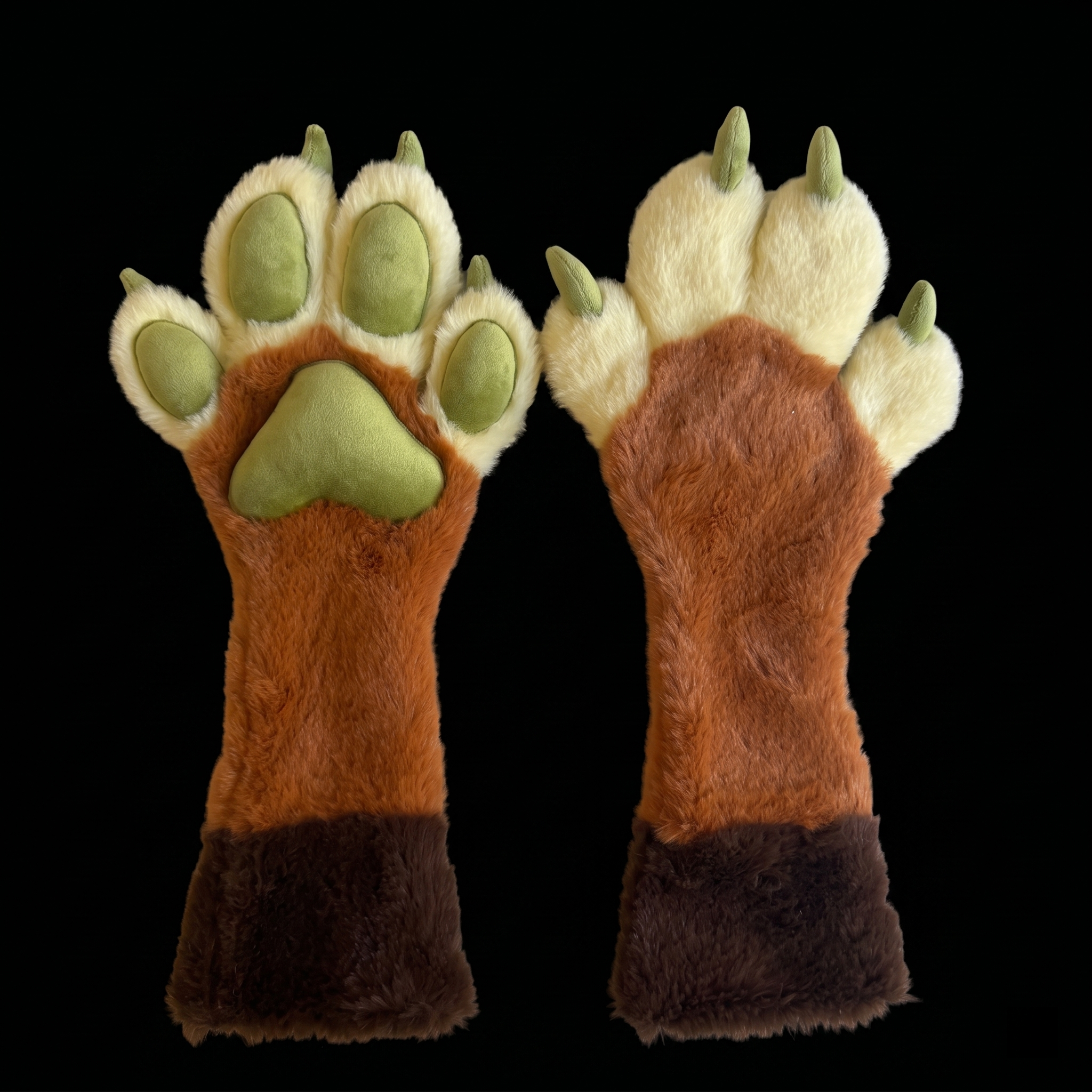 PAWS